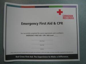 First Aid training Certificate (Wall mount)